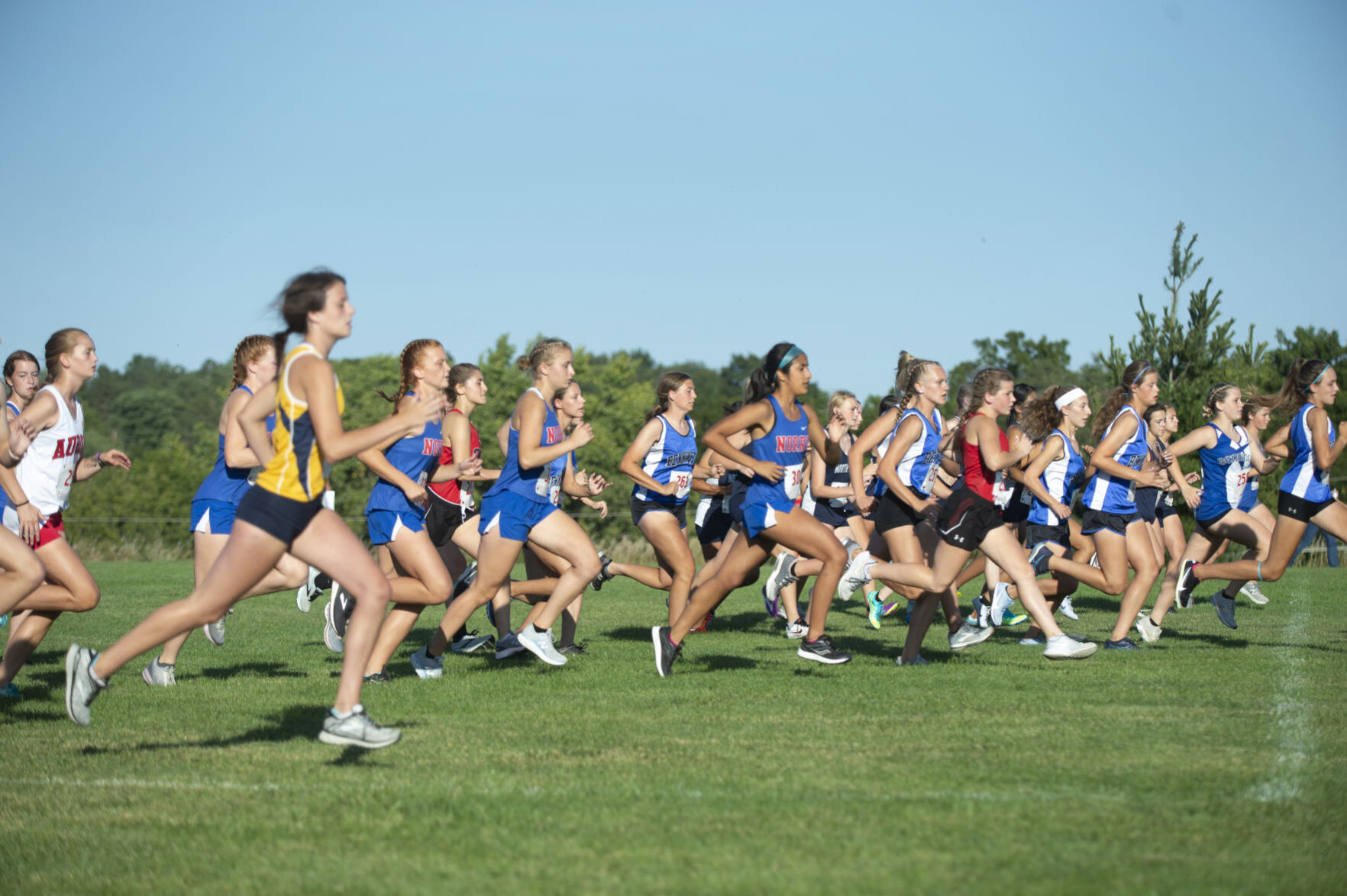 Charlie Thorell Invitational cross country, 9.3